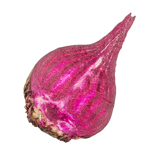 Beet
